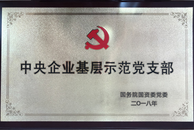 国资委中央企业基层示范党支部（2018）